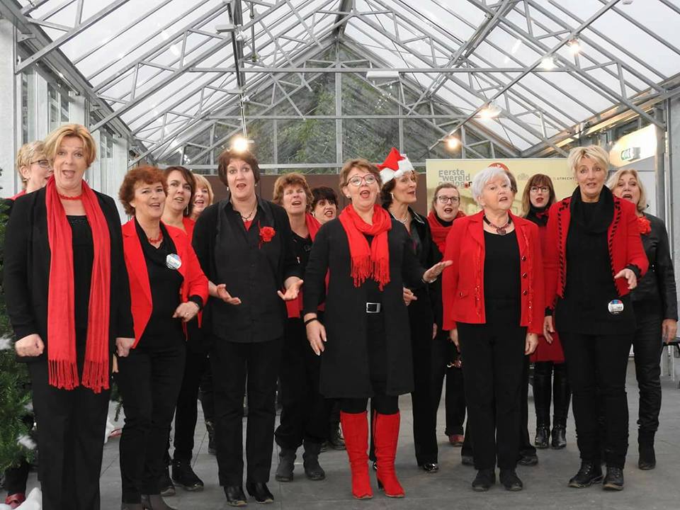 Dickenskoor te boeken bij www.kwekel-evenementen.nl